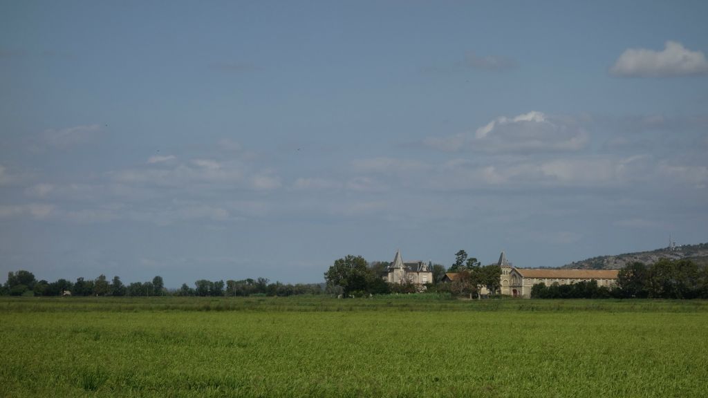 Le Canal de la Robine dans l'autre sens ; ici une rizière